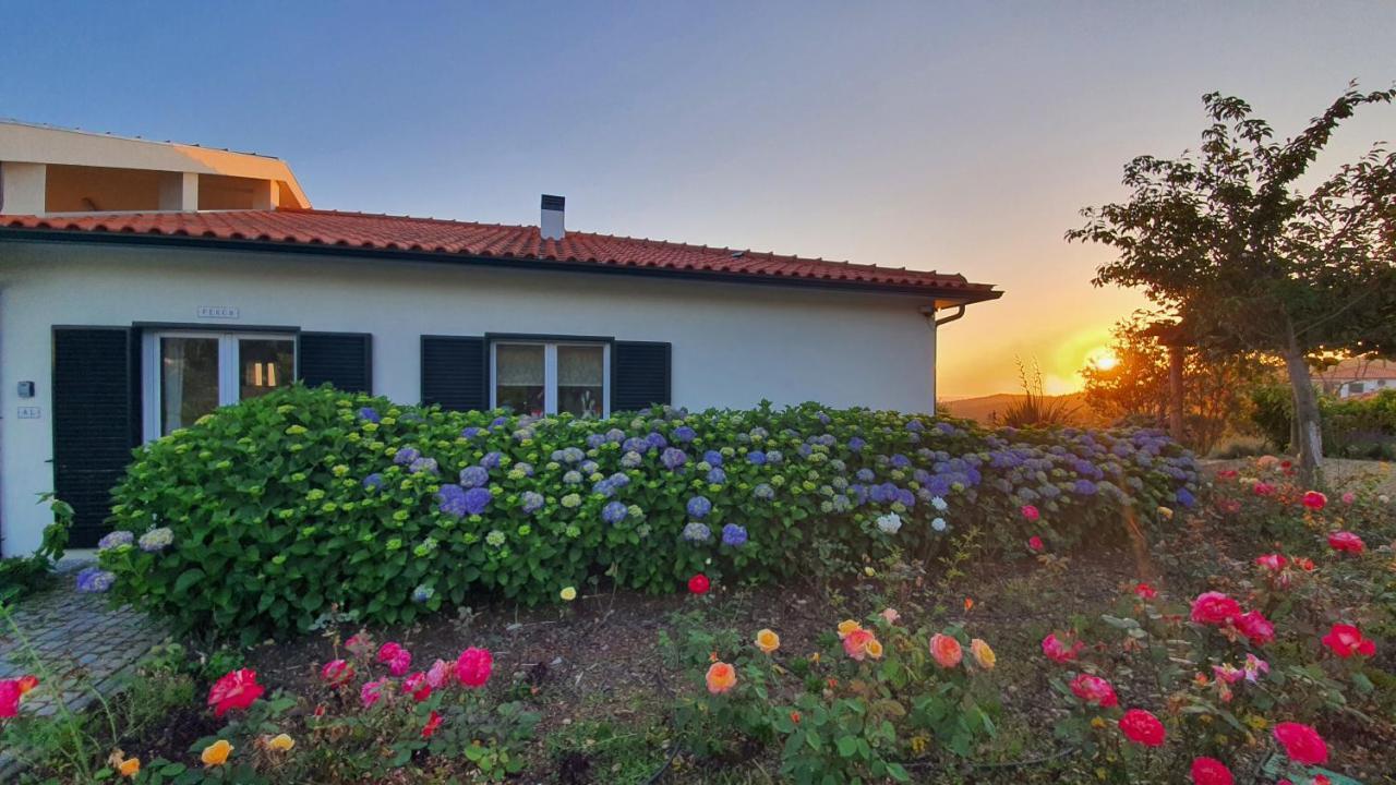 Coja Mountain Perch Villa Vinho  Екстериор снимка