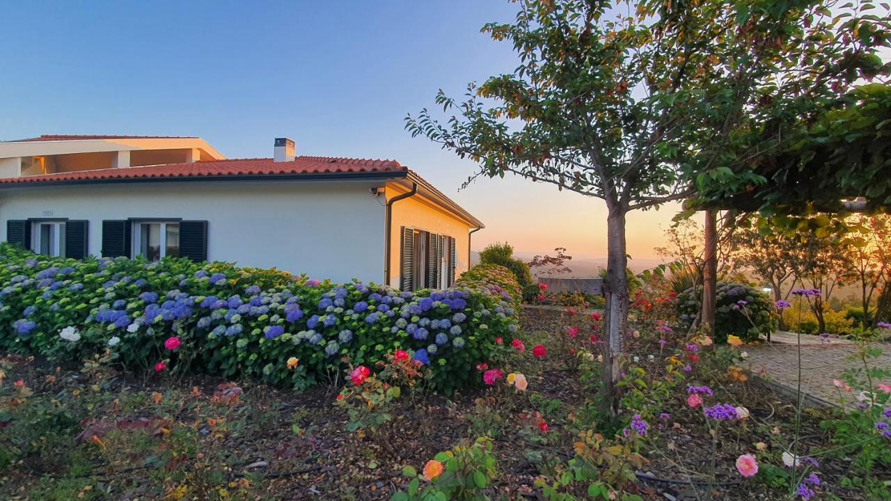 Coja Mountain Perch Villa Vinho  Екстериор снимка
