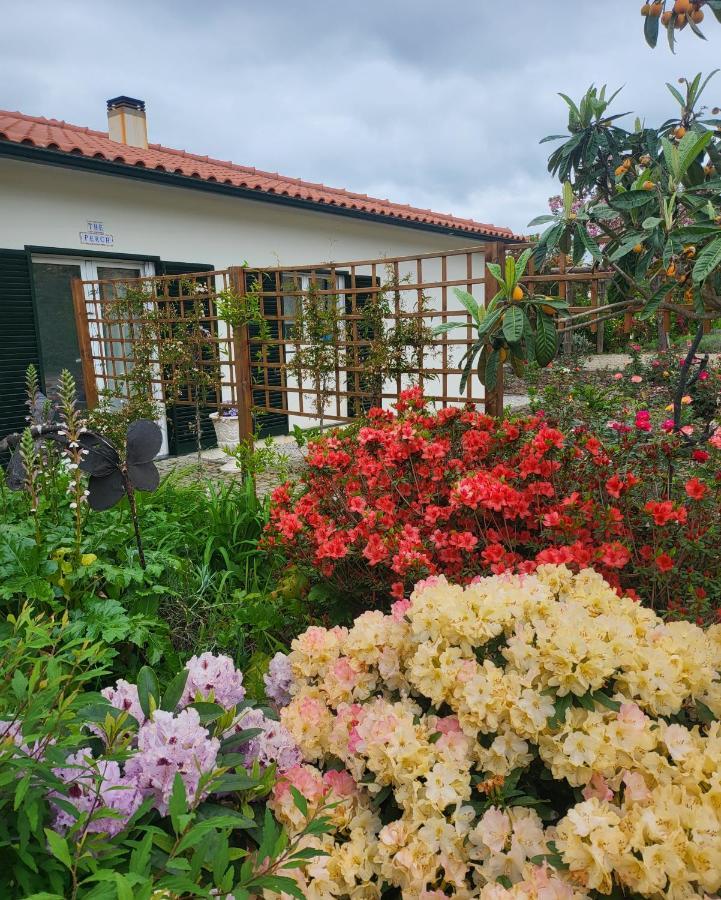 Coja Mountain Perch Villa Vinho  Екстериор снимка